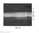 Fig. 08 - Method for making multilayer coextruded films using a layer sequence repeater module