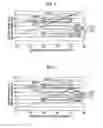 Fig. 06 - Printing apparatus and printing method
