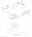Fig. 08 - Body structure of vehicle