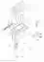 Fig. 02 - Lid-closing device with rocker