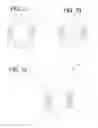 Fig. 10 - Container-securing device