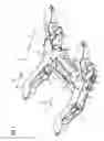 Fig. 02 - Chassis frame for a rail vehicle