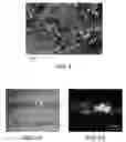 Fig. 04 - Composite materials