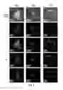 Fig. 09 - Aerogels