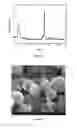 Fig. 03 - Preparation method for beta zeolite