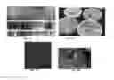 Fig. 22 - Methods and compositions for nitrogen removal using Feammox microorganisms
