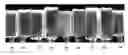 Fig. 01 - Silicate glasses having low seed concentration