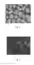 Fig. 02 - Preparation method of ceramic membrane support