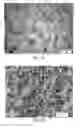 Fig. 02 - Nitride-based controlled-release fertilizers and process for making same