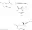 Fig. 06 - Synthesis process for chiral cyclopropyl ethynyl tertiary alcohol compound