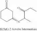 Fig. 09 - Methods of producing molindone and its salts