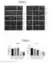 Fig. 02 - Pharmaceutically active compounds