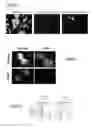 Fig. 03 - Pharmaceutically active compounds