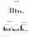 Fig. 06 - Pharmaceutically active compounds