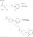 Fig. 03 - Process for preparing substituted phenylisoxazoline derivatives