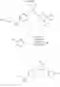 Fig. 31 - Allosteric modulators of nicotinic acetylcholine receptors