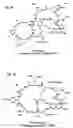 Fig. 02 - Proteins specific for pyoverdine and pyochelin