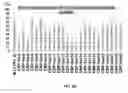 Fig. 19 - Composition and method for affecting the binding of antigen-binding polypeptides to antigens