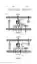 Fig. 02 - Inhibitors of T-cell activation
