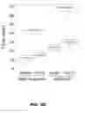 Fig. 22 - FUSION PROTEINS AND METHODS THEREOF