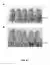 Fig. 71 - FUSION PROTEINS AND METHODS THEREOF