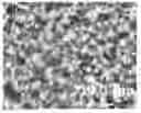 Fig. 01 - Ethylene/alpha-olefin copolymer having excellent processability and surface characteristics
