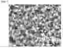 Fig. 02 - Ethylene/alpha-olefin copolymer having excellent processability and surface characteristics