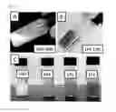 Fig. 06 - Copolymer comprising a lignin or lignin derivative and a poly(alkylene oxide) alkyl ether (meth)acrylate, and a hydrogel comprising the copolymer