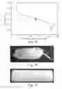 Fig. 06 - CRYSTALLINE POLYCARBONATE ARTICLES AND METHODS OF MAKING THE SAME