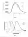 Fig. 03 - Photo-crosslinkable emissive molecular materials