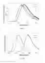 Fig. 05 - Photo-crosslinkable emissive molecular materials