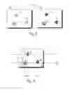 Fig. 06 - Method and device for automated removal of cells and/or cell colonies