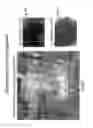 Fig. 06 - Methods of generating functional human tissue