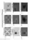 Fig. 08 - Methods of generating functional human tissue