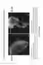 Fig. 09 - Methods of generating functional human tissue