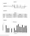 Fig. 20 - MATERIALS AND METHODS FOR TREATMENT OF HEMOGLOBINOPATHIES