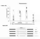 Fig. 37 - MATERIALS AND METHODS FOR TREATMENT OF HEMOGLOBINOPATHIES