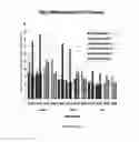 Fig. 09 - siRNA compounds comprising terminal substitutions