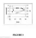 Fig. 02 - Compositions and methods using capsids resistant to hydrolases