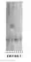 Fig. 06 - Compositions and methods using capsids resistant to hydrolases