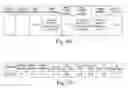 Fig. 35 - APTAMER THERAPEUTICS USEFUL IN THE TREATMENT OF COMPLEMENT-RELATED DISORDERS