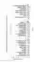 Fig. 03 - Methods for treating aging and skin disorders using nucleic acids targeting Tyr or MMP1