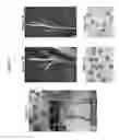 Fig. 08 - Methods and compositions for selective regulation of protein expression