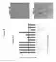 Fig. 09 - Methods and compositions for selective regulation of protein expression