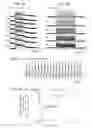 Fig. 03 - GENE THERAPY TO IMPROVE VISION