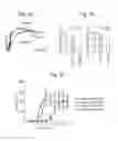 Fig. 09 - GENE THERAPY TO IMPROVE VISION