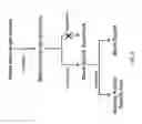 Fig. 04 - Biological methods for preparing a fatty dicarboxylic acid