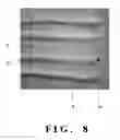 Fig. 09 - Glove and manufacturing method of glove