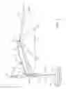 Fig. 02 - Crankless cantilevered umbrella