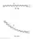 Fig. 30 - Stiff fabric